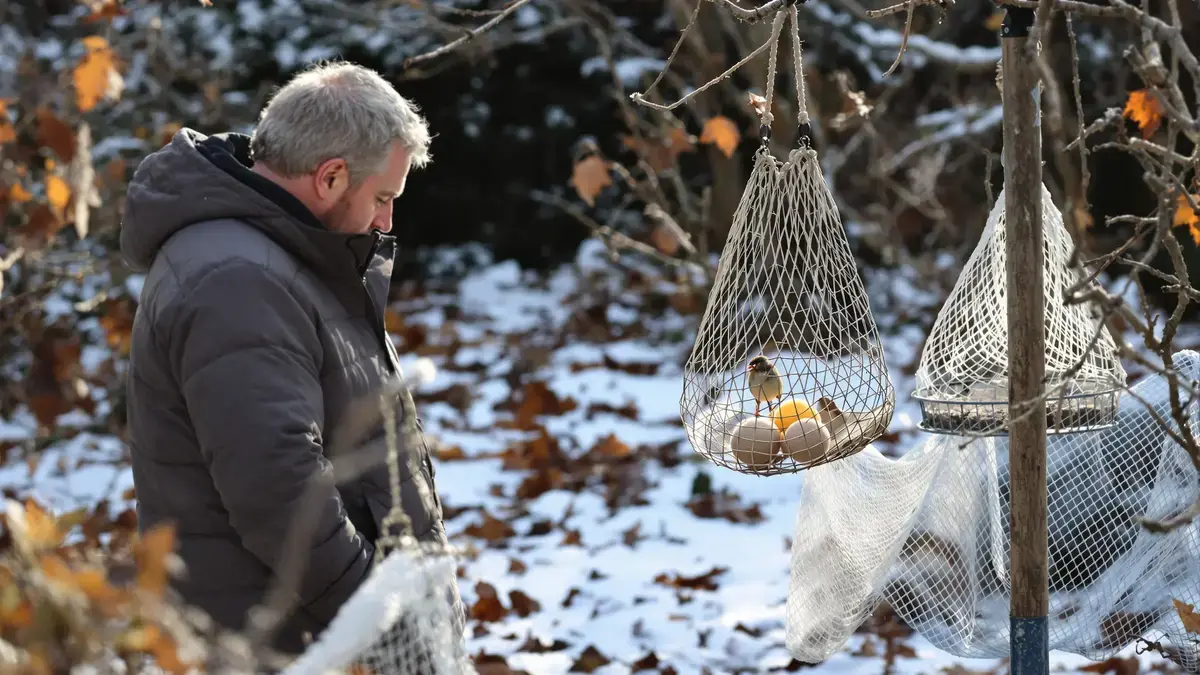 Dit detail waarvan men denkt dat het nuttig is om vogels in de winter te voeden brengt hun leven in werkelijkheid in gevaar